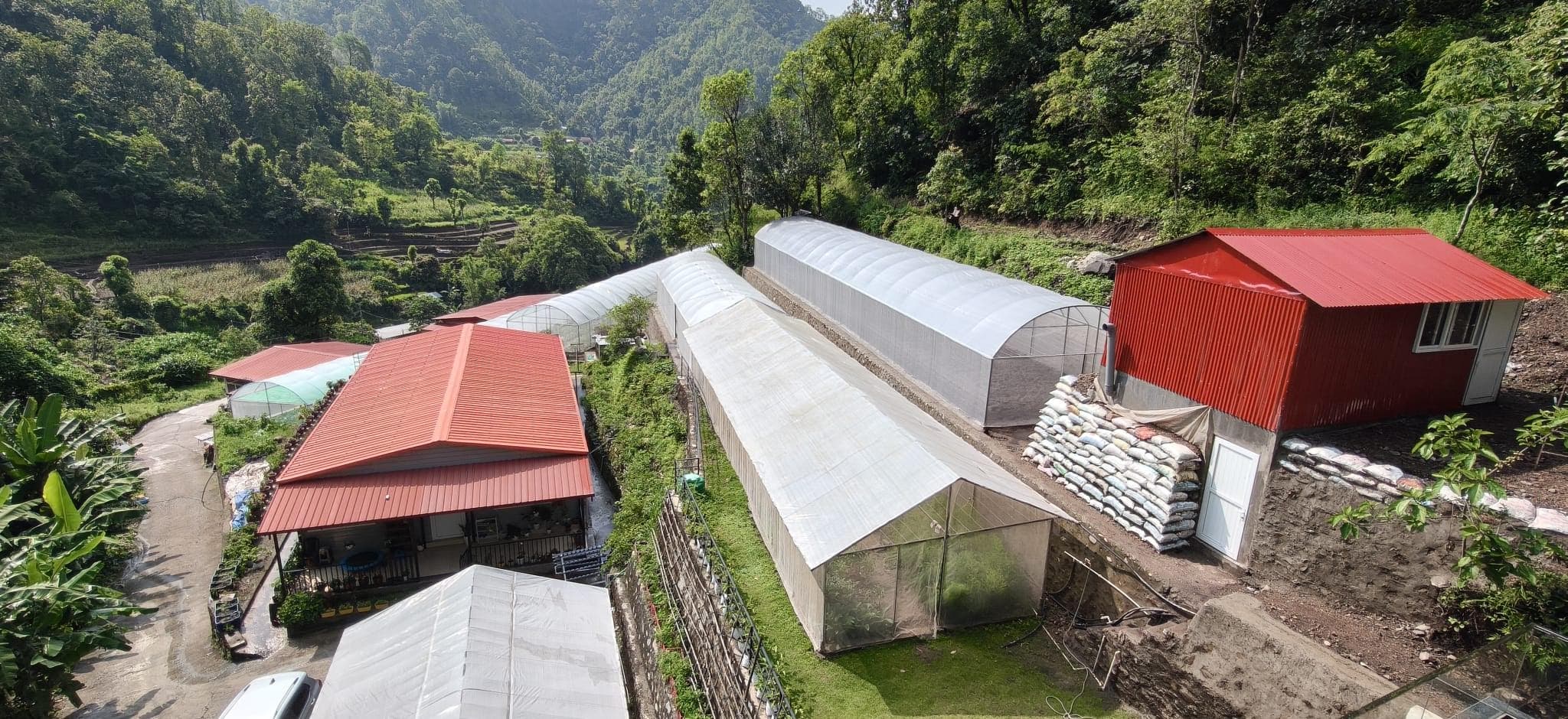 Greenhouses at Reach Nepal’s sustainability project in a forested valley.